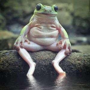 Meet your Posher, Dana